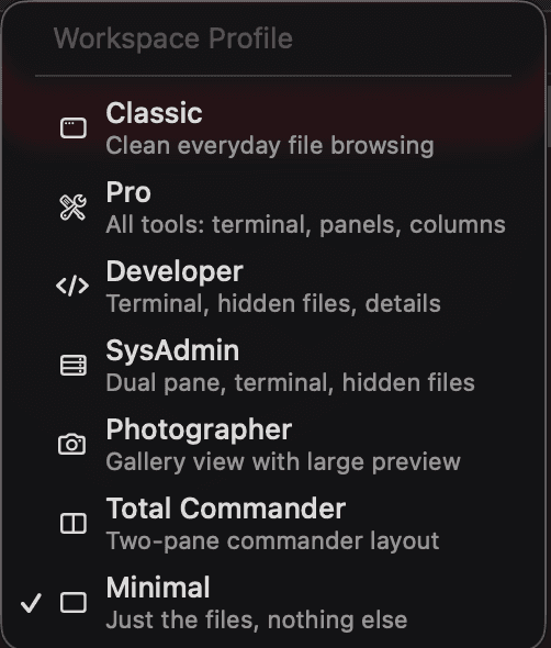 Workspace Profiles menu: Classic, Pro, Developer, SysAdmin, Photographer and more